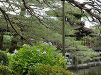 s-DSCN3258.jpg