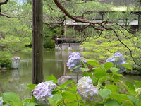 s-DSCN3259.jpg