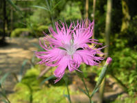 s-DSCN3262.jpg