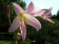 s-DSCN3274.jpg