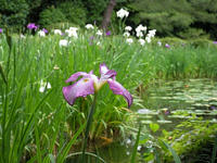 s-DSCN3281.jpg