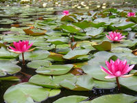 s-DSCN3289.jpg