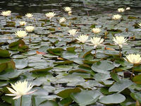 s-DSCN3296.jpg