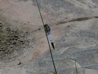 s-DSCN3399.jpg