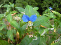 s-DSCN3413.jpg