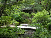 s-DSCN3421.jpg