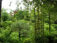 s-DSCN3428.jpg