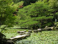 s-DSCN3442.jpg