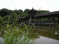 s-DSCN3449.jpg