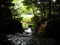 s-DSCN3455.jpg