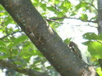 s-DSCN3496.jpg