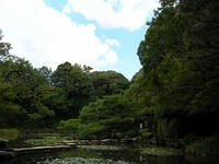 s-DSCN3561.jpg