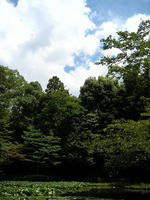 s-DSCN3567.jpg