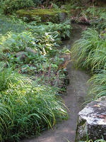 s-DSCN3678.jpg
