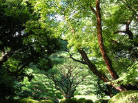 s-DSCN3679.jpg