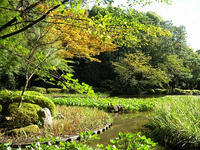 s-DSCN3681.jpg