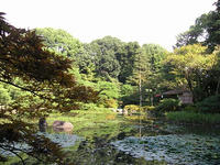 s-DSCN3682.jpg