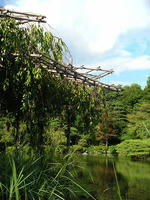 s-DSCN3684.jpg