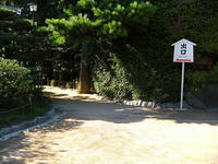 s-DSCN3691.jpg