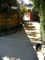 s-DSCN3692.jpg
