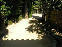 s-DSCN3694.jpg