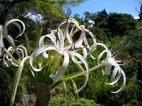 s-DSCN3710.jpg