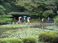 s-DSCN3716.jpg