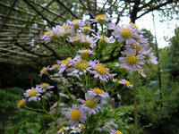 s-DSCN3722.jpg