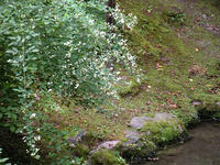 s-DSCN3733.jpg