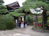 s-DSCN3748.jpg