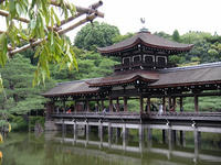 s-DSCN3751.jpg