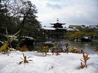s-DSCN3879.jpg
