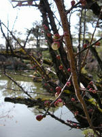 s-DSCN3907.jpg
