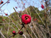 s-DSCN3922.jpg