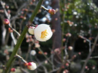 s-DSCN3929.jpg