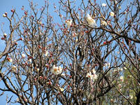 s-DSCN3946.jpg