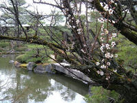 s-DSCN4052.jpg