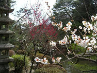 s-DSCN4066.jpg