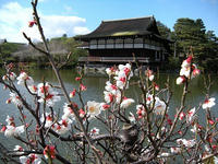 s-DSCN4104.jpg