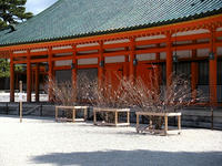 s-DSCN4126.jpg