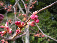 s-DSCN4139.jpg