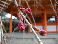 s-DSCN1497.jpg