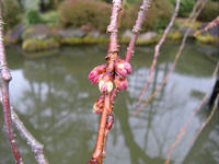 s-DSCN4210.jpg