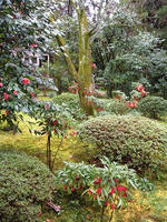 s-DSCN4227.jpg