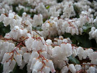 s-DSCN4237.jpg