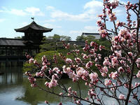 s-DSCN4279.jpg