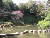 s-DSCN4291.jpg