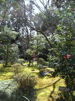 s-DSCN4301.jpg