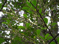 s-DSCN4320.jpg