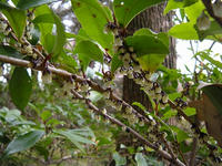 s-DSCN4323.jpg